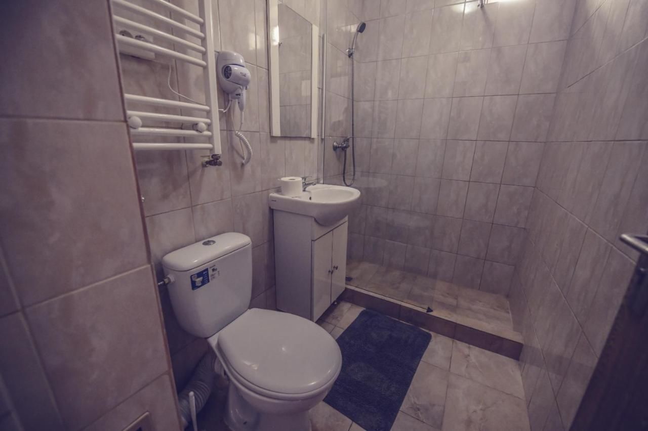 Гостевой дом Bobo House Тимишоара-14