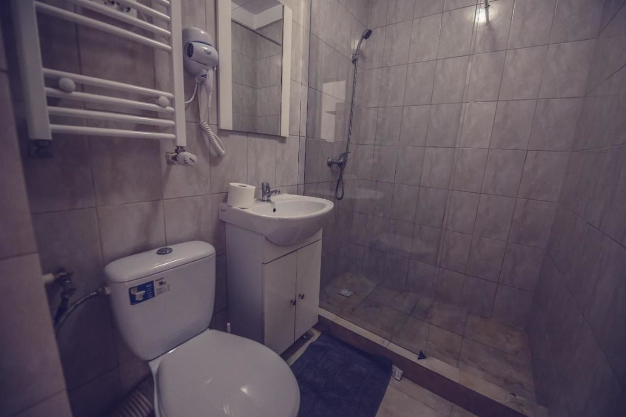 Гостевой дом Bobo House Тимишоара-18
