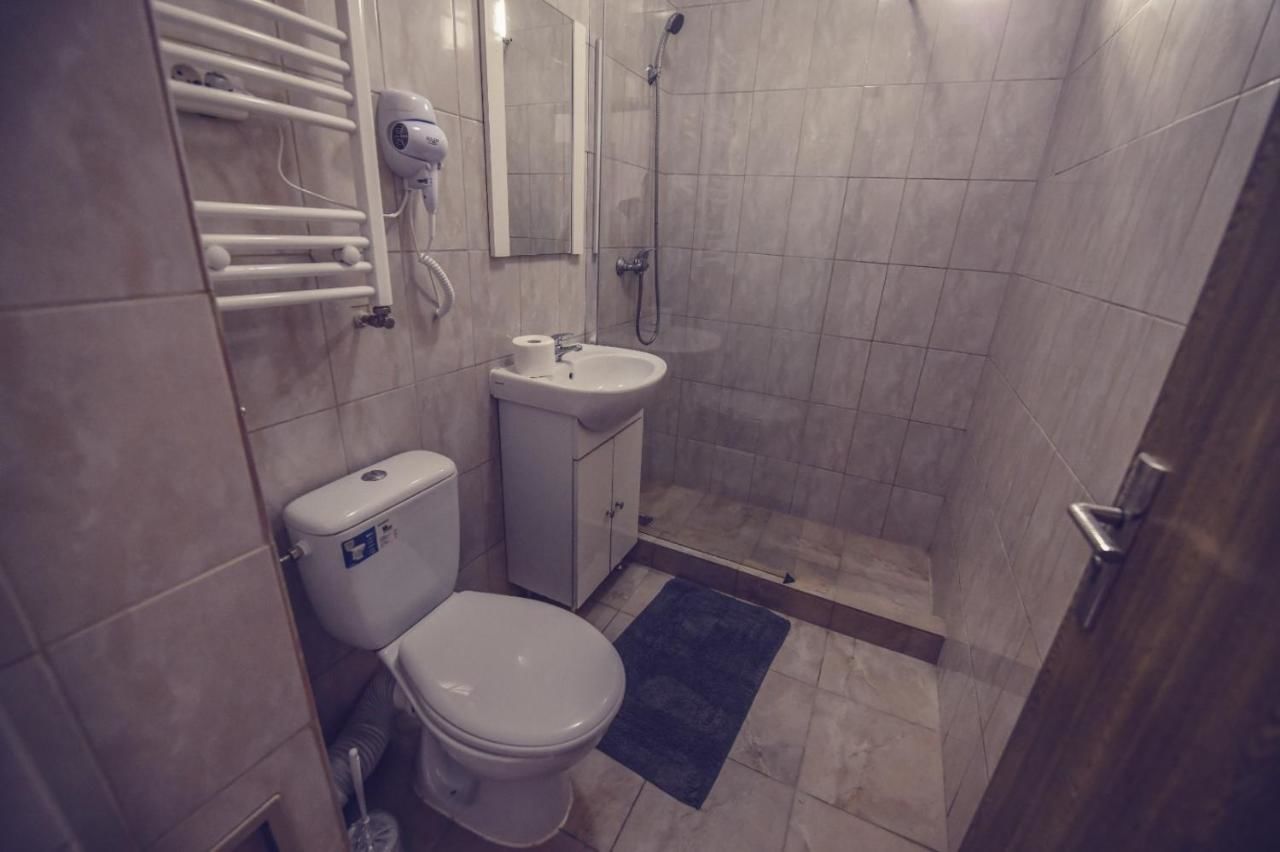 Гостевой дом Bobo House Тимишоара-7